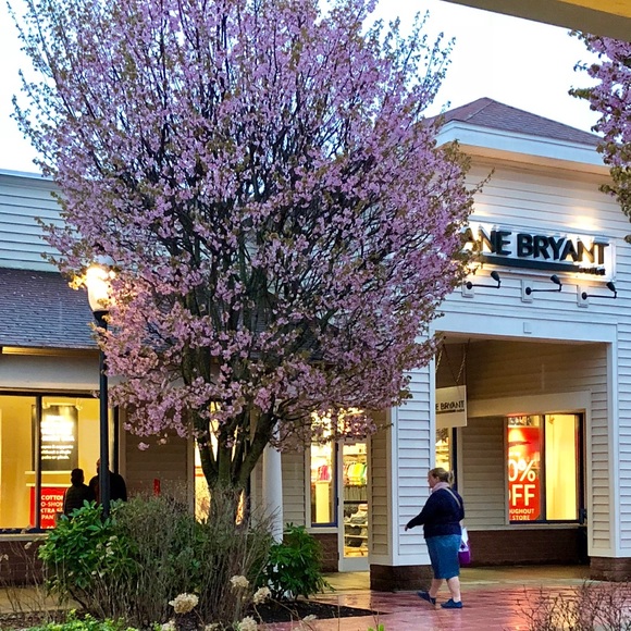 Meet your Posher, K. - Picture 1 of 1